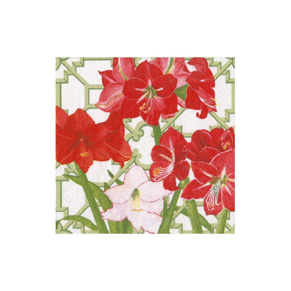Amaryllis Conservatory Paper Cocktail Napkins
